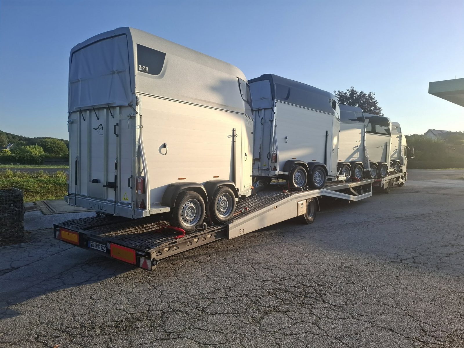 Neue SIRIUS Pferdeanhänger auf dem Transporter bei der Anlieferung