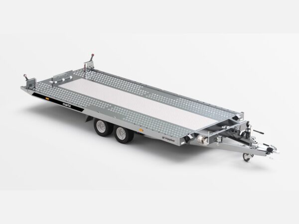 GT KIPPBAR 480/2 3T (Ausführung L2OVP.300.480.200.0307_KV0E_GK5)